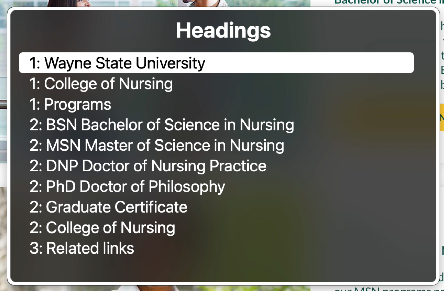 Screenshot of headings list with Wayne State University selected